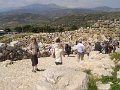 mycenae (502)